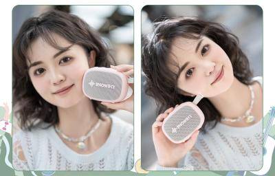 FiiO Portable Bluetooth Speaker in Pink - Anywhere (P)