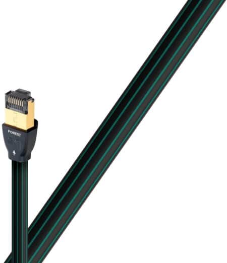 Forest | Ethernet Cable