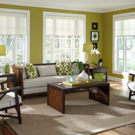 Lutron Roller Shades